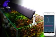 Chihirios LED A II 601 Aquarium Light