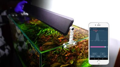 Chihirios LED A II 601 Aquarium Light