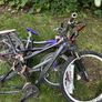 Bikes Image 2