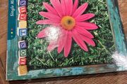 Zion Train - Single Minded &amp; Alive (2xCD)
