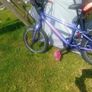 Carrera Cosmos 16" Kids Bike Image 2