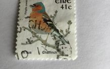 Irish stamp - Chaffinch
