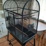 Large Parrot Cage Image 3