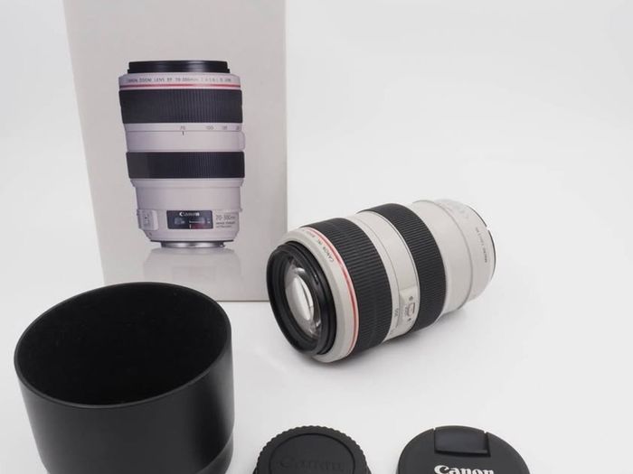 Canon Ef 70-300mm F4-5.6l Is Usm Lens
