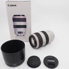 Canon Ef 70-300mm F4-5.6l Is Usm Lens