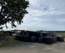 300 bales of silage