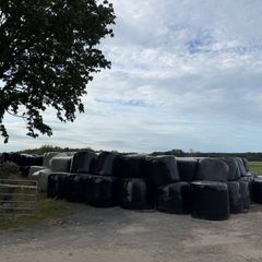300 bales of silage