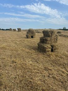 Hay/haylage