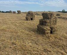 Hay/haylage