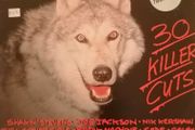 Hungry For Hits - Double Album / Vinyl LP Records from the 80's music for record player