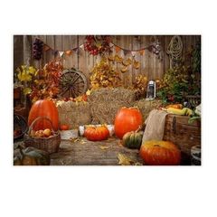 Allenjoy 7 x 5ft photo studio background, Autumn pumpkin, wood wall, hay barn, child backdrop