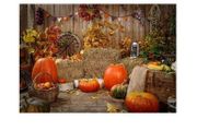 Allenjoy 8 x 6ft photo studio background, Autumn pumpkin, wood wall, hay barn, child backdrop