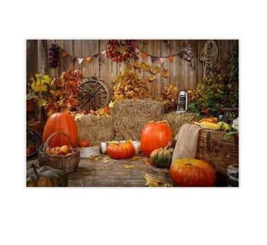 Allenjoy 8 x 6ft photo studio background, Autumn pumpkin, wood wall, hay barn, child backdrop