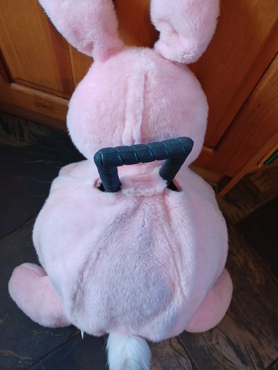 kids Bouncing Bunny