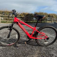 Girls 24" bike
