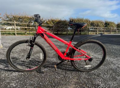 Girls 24" bike