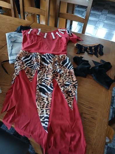 Halloween/fancy dress costume