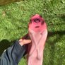 Nike phantom luna 2 elite size uk5 Image 4