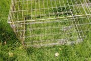 Large Folding Metal Dog Crate / Pet Cage (75cm x 55cm)