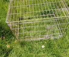 Large Folding Metal Dog Crate / Pet Cage (75cm x 55cm)