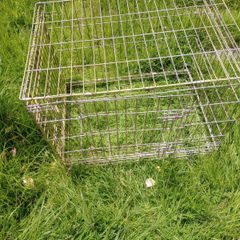 Large Folding Metal Dog Crate / Pet Cage (75cm x 55cm)