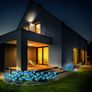 Solar Lights Outdoor Garden, Garden Lights Solar Powered Waterproof with 8 Bigger Blue Rose Flower, 2 Pack Outside Solar Garden Lighting Decorative for Christmas Gift Pathway Yard Wedding Party Fence Image 2