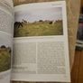 Training Border Collies. By Barbara Sykes's Large Volume Paperback In Good Condition.  See Photos For Same. Image 8