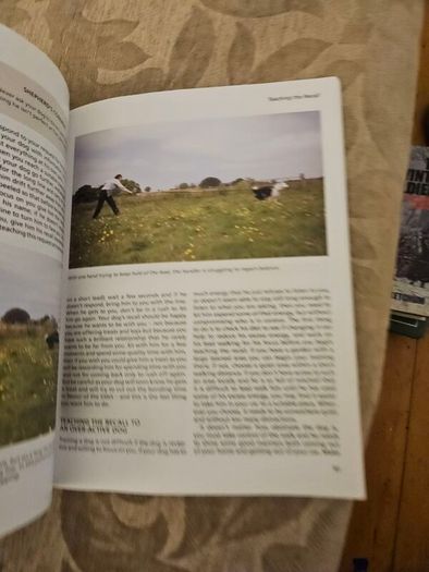 Training Border Collies. By Barbara Sykes's Large Volume Paperback In Good Condition.  See Photos For Same.