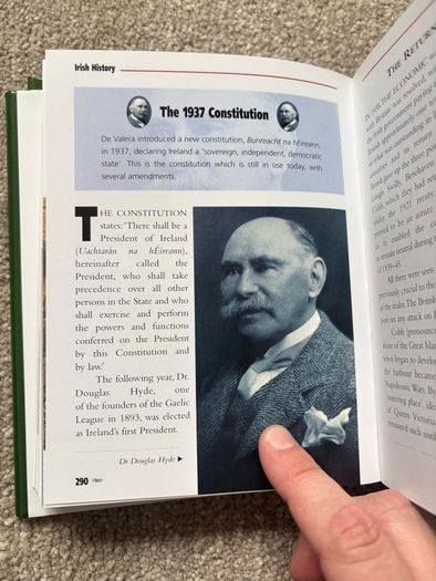 Irish History: From Prehistoric Times to the Present Day by Seamas Mac Annaidh