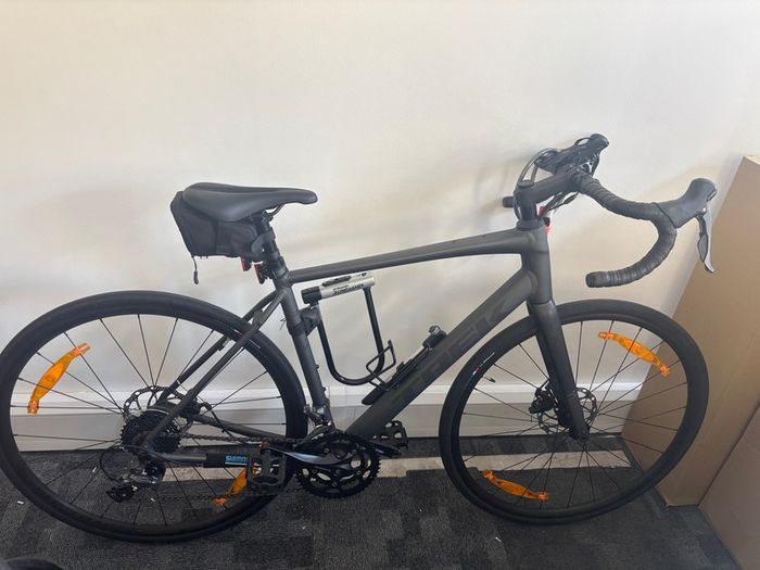 Trek Domane AL2 Gen 4