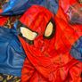 costume Image 3