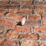 NEW SALE | Urban Red Brick Effect Wallpaper - Photographic Design - 3D Effect - Living Spaces & Feature Walls - Paste The Paper - Easy to Hang - 53 cm x 10.05 m Roll Image 2