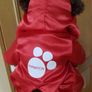 The Bear Factory Soft Toy Bundle x6 Image 8