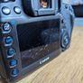 Canon 5DIV Image 8