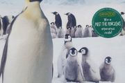 March of penguins 2