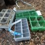 Seedling modules of various sizes Image 2