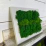Frame 03 - 20x25cm natural moss Image 2