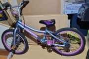 Verve Kids bike 20"