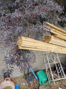 2x1 timber