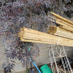 2x1 timber