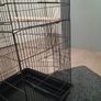 bird cage Image 5