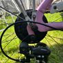 Lady bicycle "Carnielli" Image 4