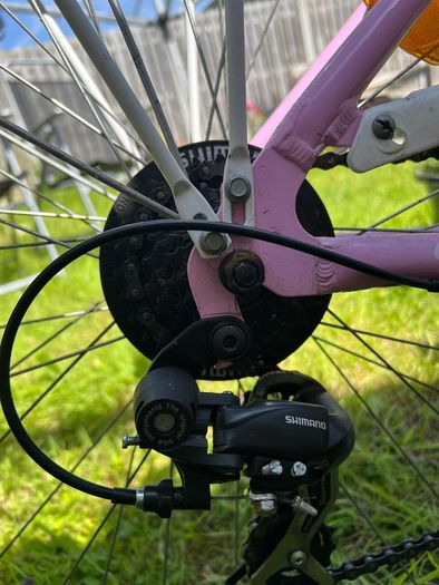 Lady bicycle "Carnielli"