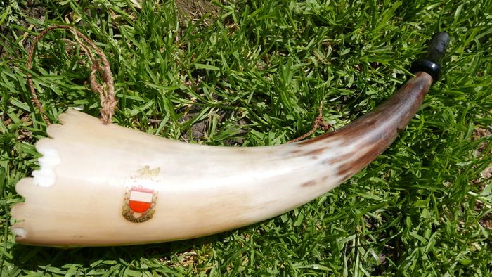 Vintage Hunting Horn 12"