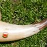 Vintage Hunting Horn 12" Image 5