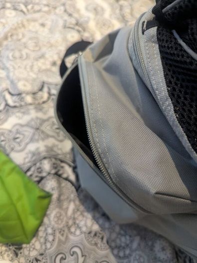 Sightseer Backpack Pet Carrier