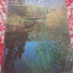 Vintage Ireland of the Welcomes Vol 31 1982