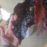 For begonia lovers Image 6