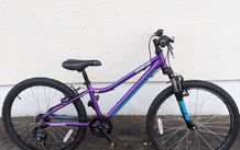 Adventure 240 Bike