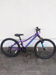 Adventure 240 Bike
